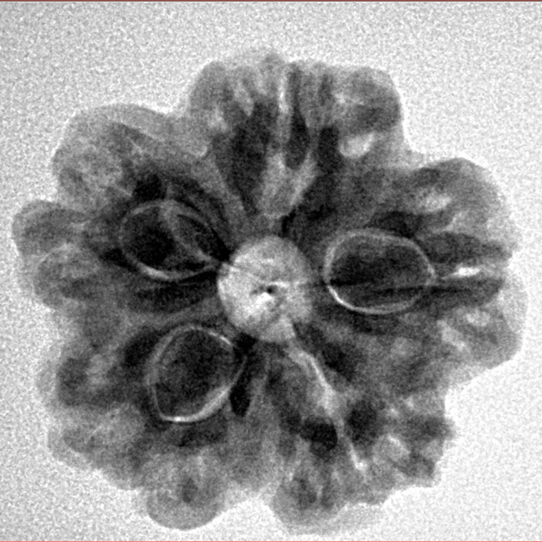 1MK(Underdeveloped) 23.9mm 4.59gm - Inverse xray