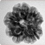 1MK(Underdeveloped) 23.8mm 4.54gm - Inverse xray