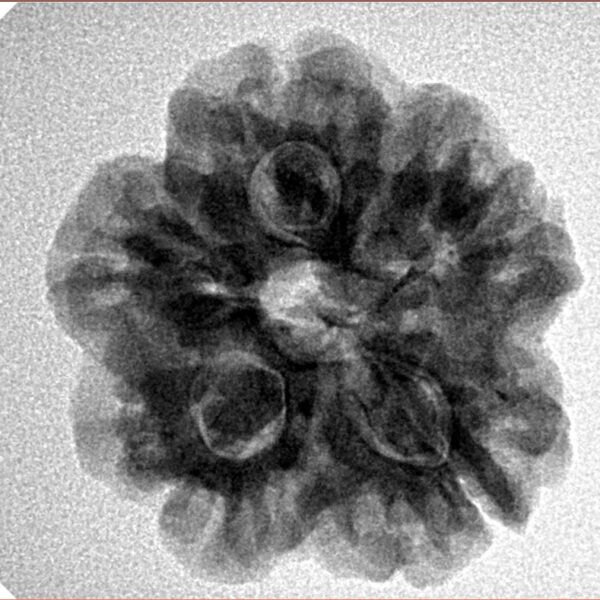 1MK(Underdeveloped) 23.8mm 4.54gm - Inverse xray