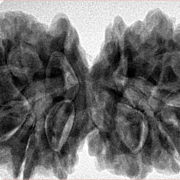 12 MK Gaurishankar 38.6mm 9.7gm - Inverse xray