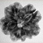 1MK(Underdeveloped) 24.5mm 5gm - Inverse xray