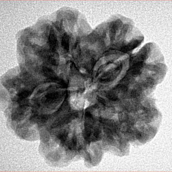 1MK(Underdeveloped) 24.5mm 5gm - Inverse xray