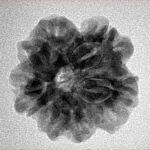 1MK(Underdeveloped) 23mm 3.71gm - Inverse xray