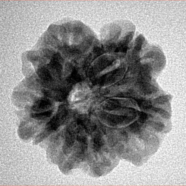 1MK(Underdeveloped) 23mm 3.71gm - Inverse xray