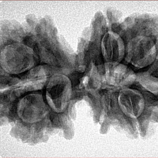 10 Mk Gaurishankar 34.8mm 6.27gm - Inverse xray