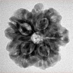 1MK(Underdeveloped) 23.1mm 3.9gm - Inverse xray