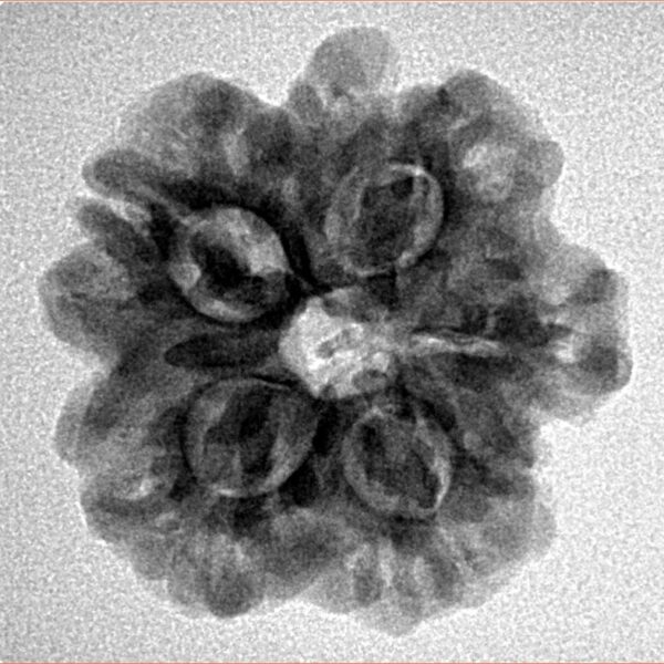 1MK(Underdeveloped) 23.1mm 3.9gm - Inverse xray