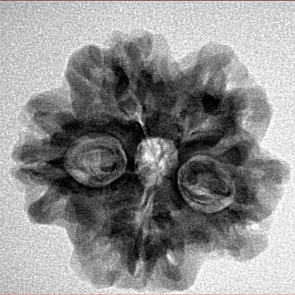 1MK(Underdeveloped) 23mm 4.06gm - Origin: Nepal - Inverse xray