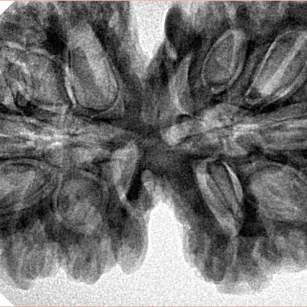13 MK Gaurishankar 40.7mm 8.78gm - Inverse xray