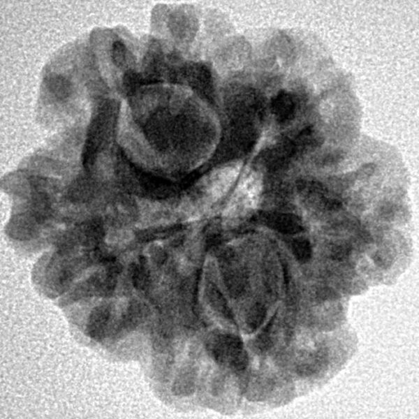 1MK(Underdeveloped) 22.5mm 3.5gm - Inverse xray