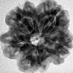 1MK(Underdeveloped) 22.6mm 3.85gm - Inverse xray