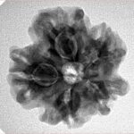 1MK(Underdeveloped) 23mm 4.18gm - Inverse xray