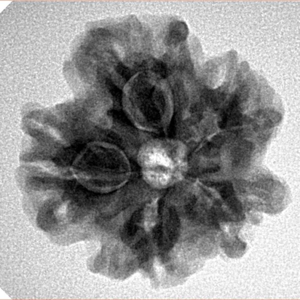 1MK(Underdeveloped) 23mm 4.18gm - Inverse xray