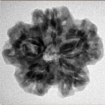 1MK(Underdeveloped) 24.1mm 4.22gm - Inverse xray