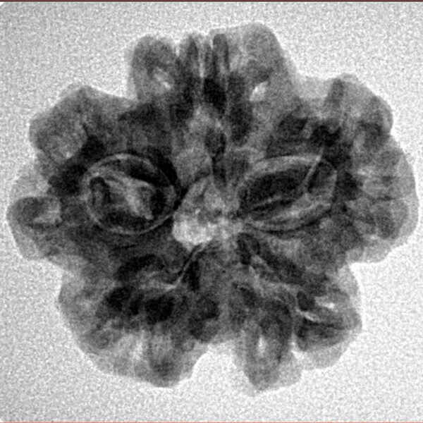 1MK(Underdeveloped) 24.1mm 4.22gm - Inverse xray