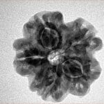 1MK(Underdeveloped) 22.5mm 3.89gm - Inverse xray