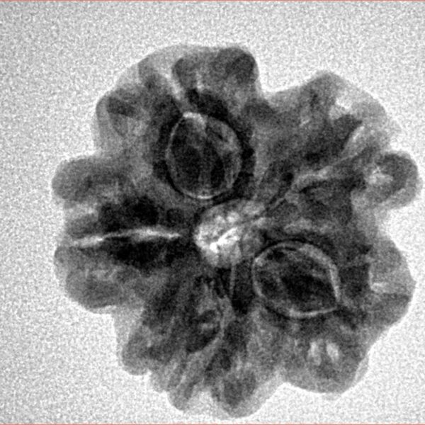 1MK(Underdeveloped) 22.5mm 3.89gm - Inverse xray