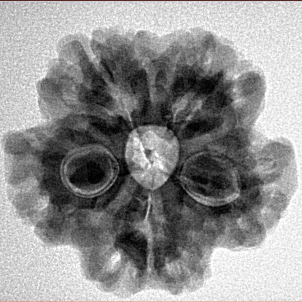 1MK(Underdeveloped) 24.4mm 4.48gm - Inverse xray