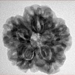 1MK(Underdeveloped) 23.7mm 4.6gm - Inverse xray