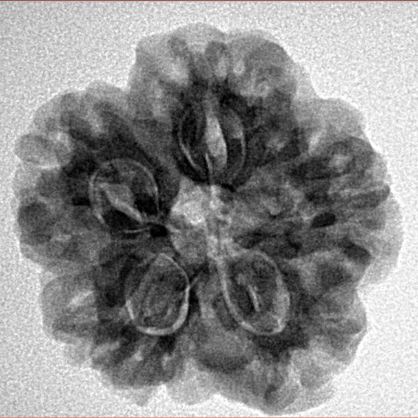 1MK(Underdeveloped) 23.7mm 4.6gm - Inverse xray