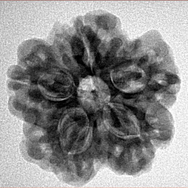 1MK(Underdeveloped) 24.2mm 4.51gm - Inverse xray