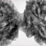 9 MK Gaurishankar 46mm 10.67gm - Inverse xray