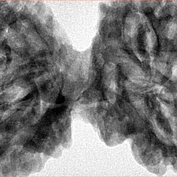 9 MK Gaurishankar 46mm 10.67gm - Inverse xray