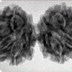 8 MK Gaurishankar 36.9mm 6.72gm - Inverse xray