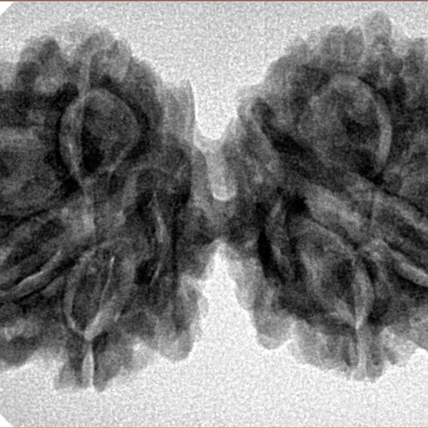 8 MK Gaurishankar 36.9mm 6.72gm - Inverse xray