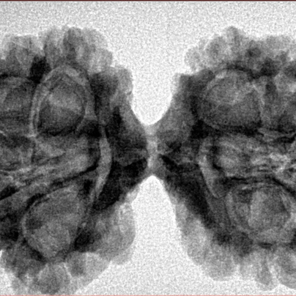 11 MK Gaurishankar 40.4mm 6.68gm - Inverse xray