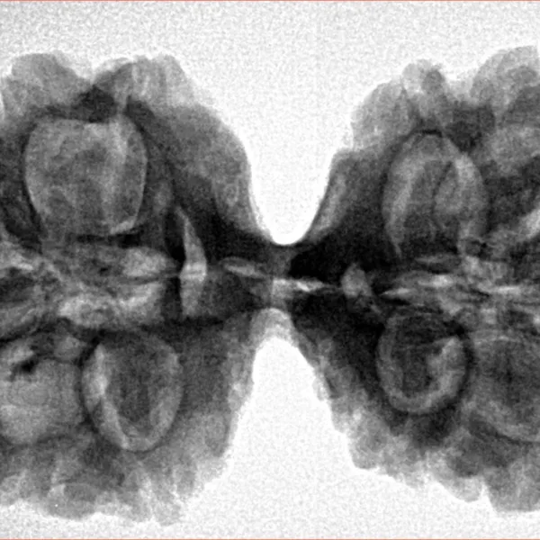 11 MK Gaurishankar 37.6mm 7.6gm - Inverse xray