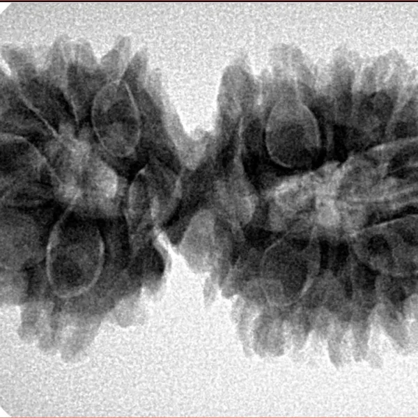 17 MK Gaurishankar 35.9mm 6.06gm - Inverse xray
