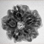 1MK(Underdeveloped) 23.2mm 4.38gm - Inverse xray