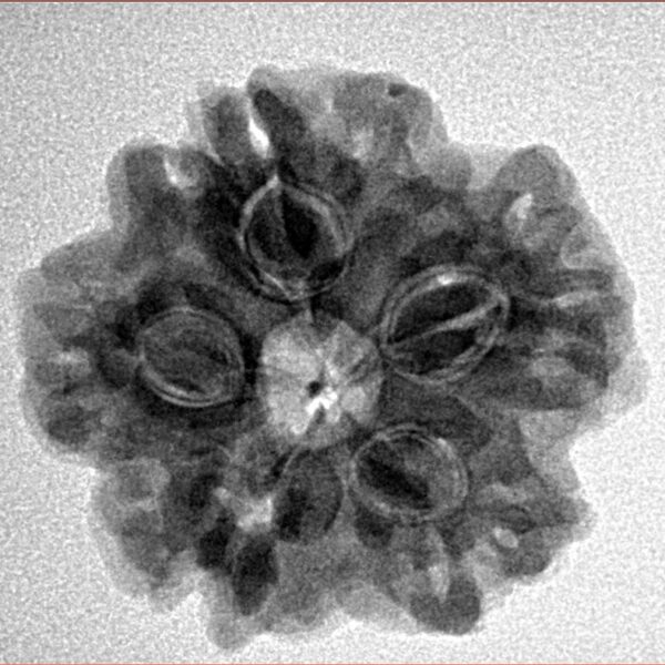 1MK(Underdeveloped) 23.2mm 4.38gm - Inverse xray