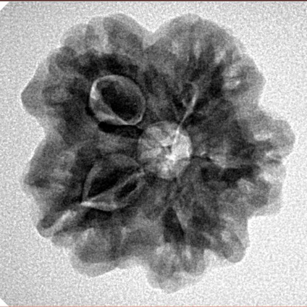 1MK(Underdeveloped) 23.4mm 4.28gm - Inverse xray