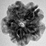 1MK(Underdeveloped) 23.1mm 3.77gm - Inverse xray