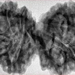 10 Mk Gaurishankar 40.6mm 7.79gm - Inverse xray