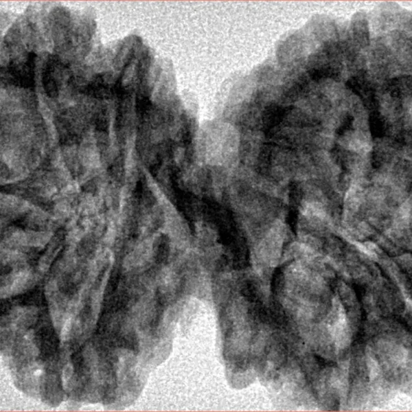 10 Mk Gaurishankar 40.6mm 7.79gm - Inverse xray