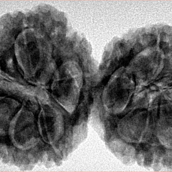 9 MK Gaurishankar 38.8mm 8.31gm - Inverse xray