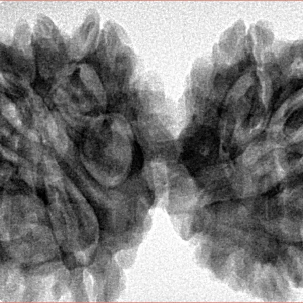 12 MK Gaurishankar 43.2mm 9.79gm - Inverse xray