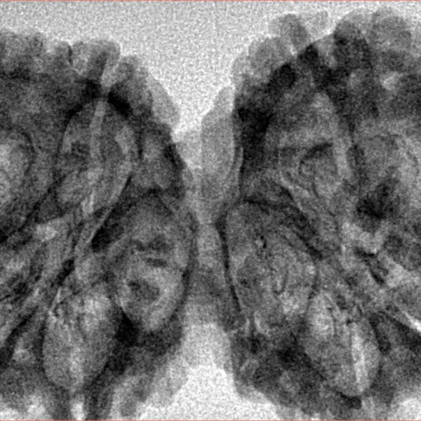 10 Mk Gaurishankar 41mm 6.56gm - Inverse xray