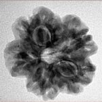 1MK(Underdeveloped) 23.8mm 4.34gm - Inverse xray