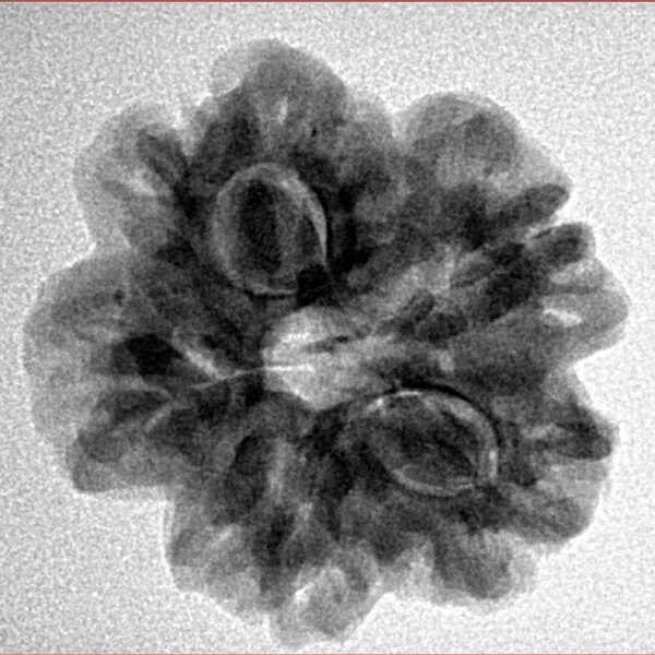 1MK(Underdeveloped) 23.8mm 4.34gm - Inverse xray