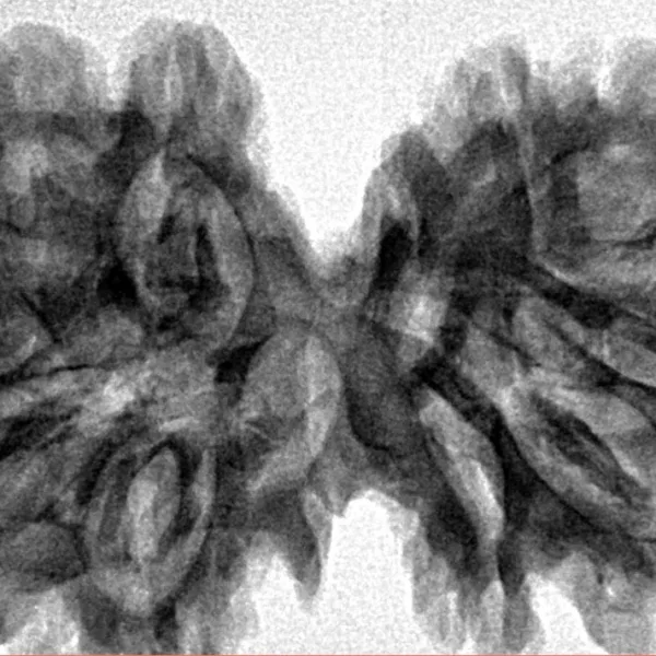 12 MK Gaurishankar 39.6mm 7.17gm - Inverse xray