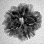 1MK(Underdeveloped) 22.9mm 3.74gm - Inverse xray