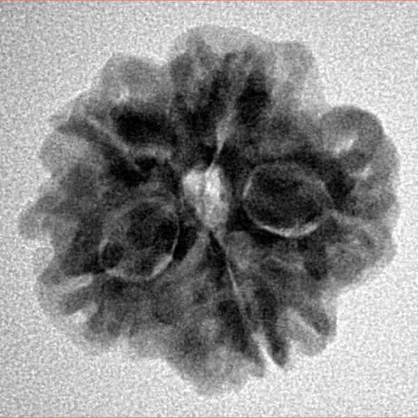 1MK(Underdeveloped) 22.9mm 3.74gm - Inverse xray