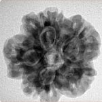 1MK(Underdeveloped) 24.1mm 4.65gm - Inverse xray