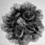 1MK(Underdeveloped) 23.1mm 4.09gm - Inverse xray