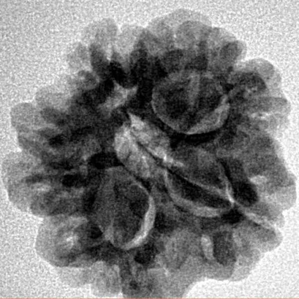 1MK(Underdeveloped) 23.1mm 4.09gm - Inverse xray