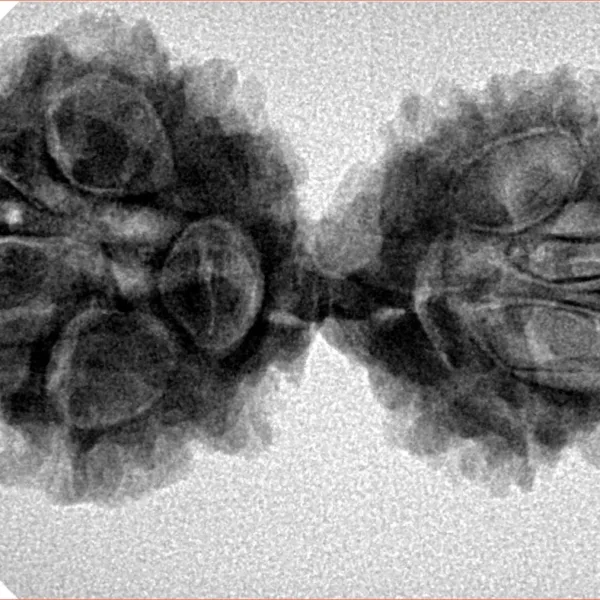11 MK Gaurishankar 35.9mm 5.58gm - Inverse xray